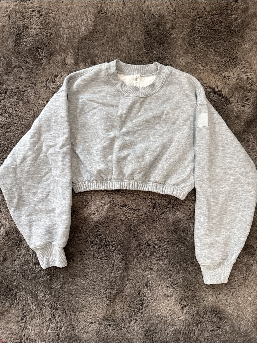 ALO Yoga Light Gray Cropped Crew Sweatshirt